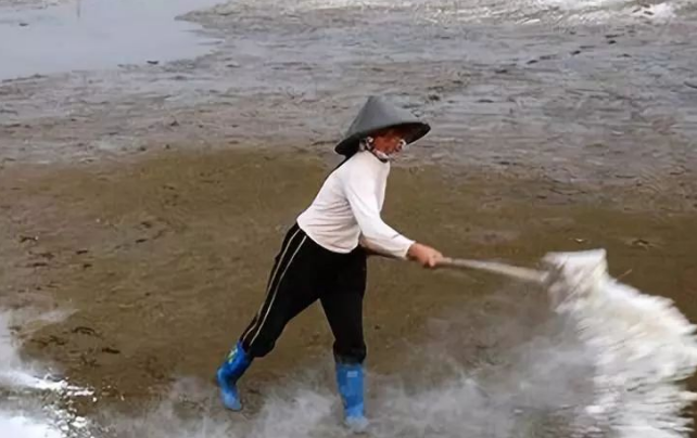 氧化鈣(生石灰)凈化水質 氧化鈣(生石灰)凈化水質